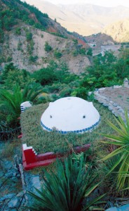 Chris Stewart's green roof