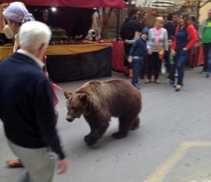 DANCING BEAR: Reports of a performing bear at a medieval market in Los Alcazares, in Murcia, have emerged