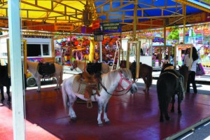 Mijas Town Hall has confirmed it will no longer allow horses or ponies to be used in fairground rides