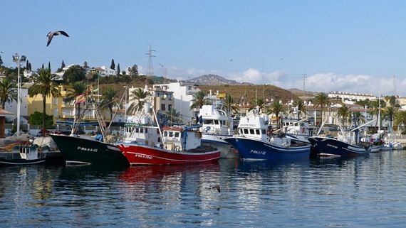 RED TIDE: An influx of toxic organisms has forced the closure of Malaga’s biggest fishing harbour, the Caleta de Velez