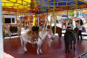 BANNED: Horse and pony attractions