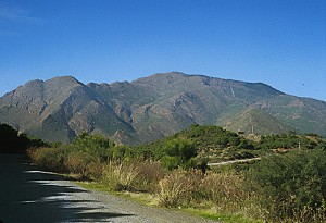Sierras and Real Bermeja in Estepona
