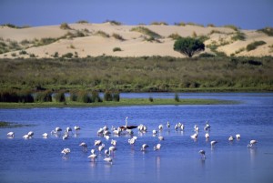 The Donana nature reserve is an area of outstanding natural beauty