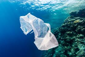 plastic-bag-in-sea