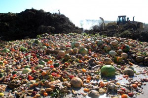 On average, every WASTE: Spanish homes bin an average 76 kilos of food (€250) a year