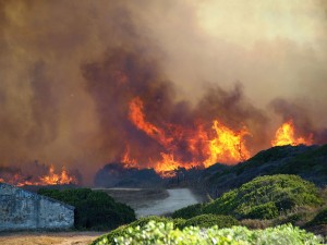 Alcaidesa fire - Photograph by Christopher Hughes